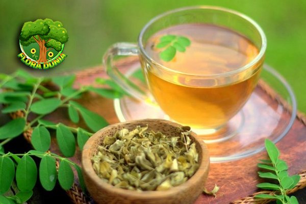Manfaat Rebusan Daun Kelor Cegah Berbagai Penyakit