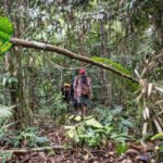 Perambahan Hutan TNKS Rejang Lebong Capai 200 Hektar