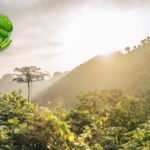 Krisis Iklim Ancam Habitat Tanaman Dunia pada 2100