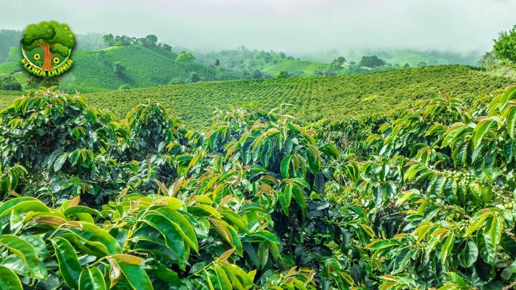 Perambahan Hutan TNKS Rejang Lebong Capai 200 Hektar