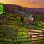 Rehabilitasi Lahan Kritis Jadi Target Investasi Hijau RI