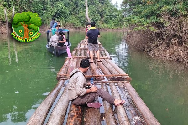Kayu Ilegal di Riau Terbongkar, Pria Jadi Tersangka