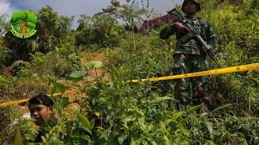 Penertiban Tambang Ilegal Babel Rugikan Negara Rp1,29 T
