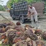 industri sawit Indonesia